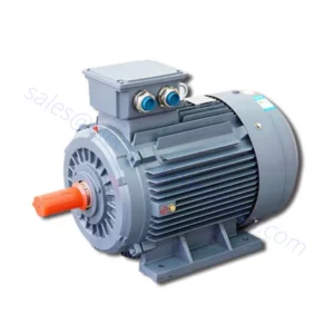 high-efficiency three-phase induction electric motor